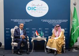 أخبار 24 - News update