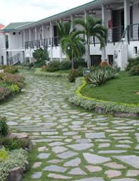 Kết quả hình ảnh cho Tra dao images