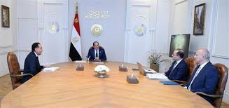 السيسي يوجه الحكومة بصرف مرتبات فبراير لموظفي الدولة الأسبوع الجاري