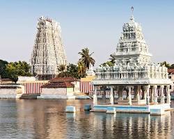 Image of Mandapams of Suchindram Shree Thanumalayan Swamy Temple