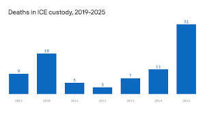 Deaths in ICE custody reach 20-year high amid Trump enforcement push