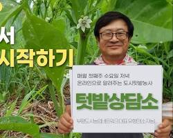 수국사 자연농 텃밭 이미지