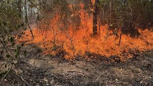 News source: Australian Broadcasting Corporation