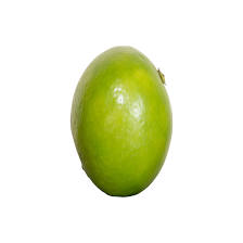 Mausambi