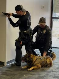 FIRST OPERATIONAL SUCCESS – POLICE SERVICE DOG JACK Police ...