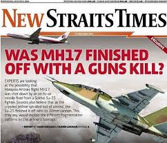 Image result for mh17 30mm bullet holes