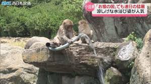 日テレNEWS NNN - News update