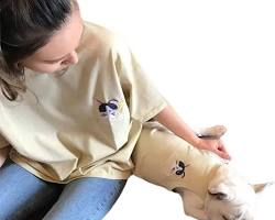 person and their pet wearing matching Tshirtsの画像