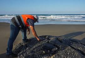 FGR investigará derrame de crudo en el Golfo de México: Sheinbaum