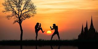 Hasil gambar untuk muay thai practice