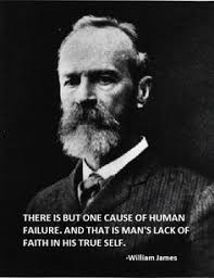 William James quotes on Pinterest | James D&#39;arcy, Mathematicians ... via Relatably.com