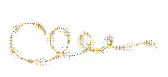 Résultat de recherche d'images pour "gifs meilleurs voeux 2016"