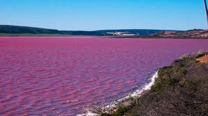 زيارة إلى البحيرة الوردية بحيرة هيلير باستراليا Images?q=tbn:ANd9GcRVp8cD1hc2nVOv1_Pal-1i8WUAz4KH2n0dsm_djH1DFZ-hUOIqcQ
