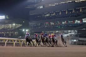 スポニチ競馬Web - News update