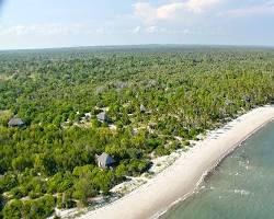 Image of Saadani National Park, Tanzania