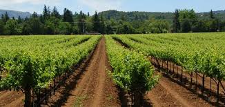 Image result for agritourism