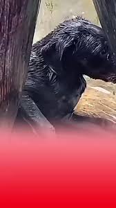 kenhgiaitri#tranhuong | TikTok