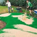 Backyard Putting Green - GreenView