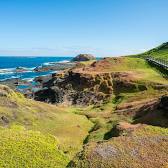 Phillip Island