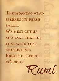 Wake up and no matter how hard, get up, breathe! Breathe in the ... via Relatably.com