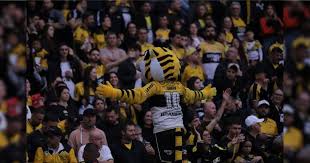 Criciúma x Brusque: em casa, Tigre briga pela melhor campanha do Catarinense