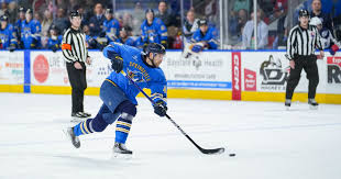 Blues Acquire Calle Rosen: Thunderbirds Roster Update
