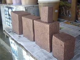 Terasi Bangka (Belacan)