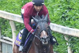 東スポ競馬 - News update