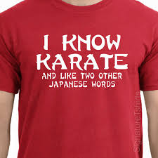 Funny Karate Quotes. QuotesGram via Relatably.com