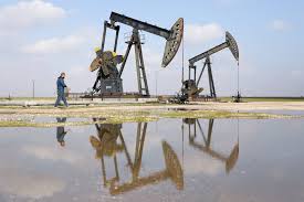 Oil rises as traders assess shipping flows; monthly gains in sight