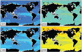 Image result for Ocean acidification is the newest global environmental threat