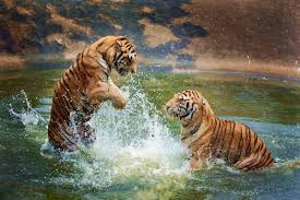 Image result for madhyapradesh images