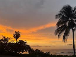 Caribbean Journal - News update