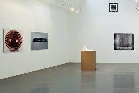 Artnews.org: Gary Hill – Patrick Tosani at Barbara Thumm Berlin