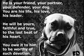 My Favourite Pit Bull Quotes | AlyZen Moonshadow via Relatably.com