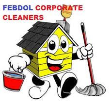 Image result for Febdol Corporate Cleaner