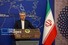 سخنگوی وزارت امور خارجه: موفقیت دیپلماسی در گرو پشتوانه مردم و میدان است