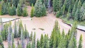 Buckrail Daily: Bear breaks into home, eats pie // Flood watch in Yellowstone // Measles in Teton Valley