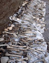 WISHFUL THINKING… AFFORDABLE | Region Plus