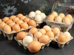 قیمت تخم مرغ