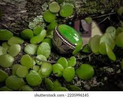 Image of Sungai Dareh Jade Stone