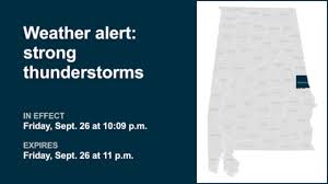 Staying Safe During Severe Weather: Thunderstorms, Hail, and Rainy Roads