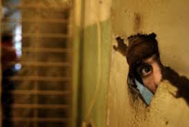 Image result for skizofrenia