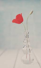 ���� ���� ������ �� ���� ������