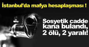 mafya ile ilgili görsel sonucu