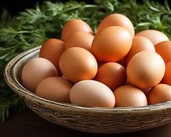 Image of تخم مرغ