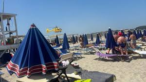 Trend Google: platamona