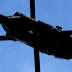 Man uses helicopter to spot 'child burglars'
