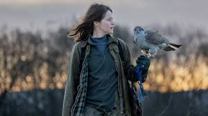 H Is For Hawk review: Grief memoir adaptation is too keen to avoid ruffling feathers