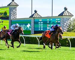 BloodHorse - News update